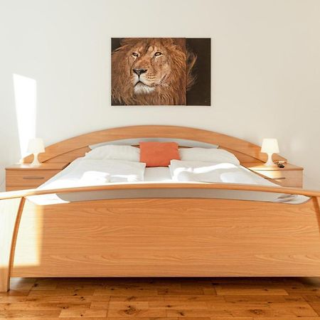 Comfortable 3Br Shared Apart. - Suitable For Long Stays Wien Exterior foto